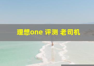 理想one 评测 老司机